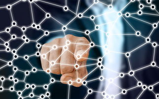 Ac米兰俱乐部官网-中国足球青训梯队人员年龄层结构，足球青训年龄段