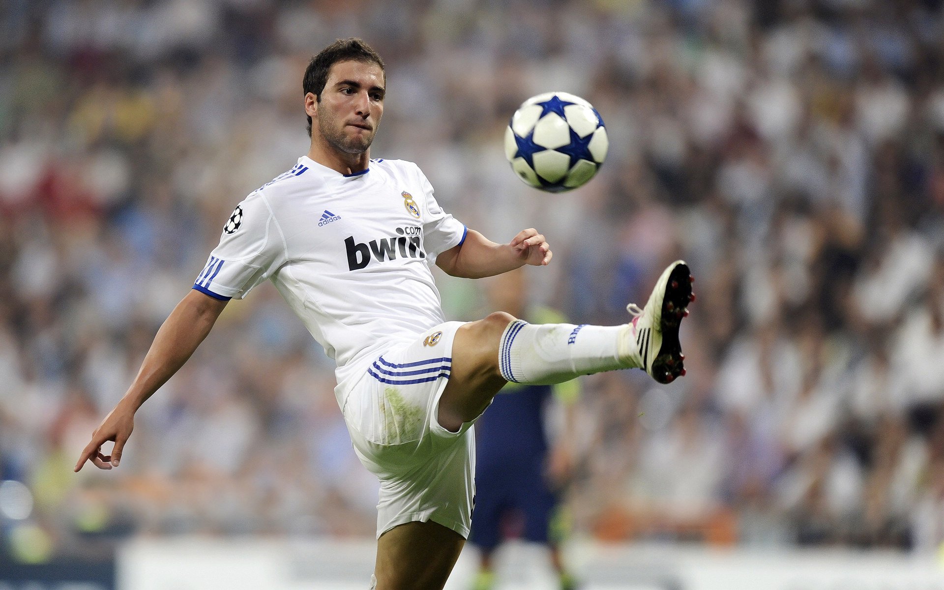 智能体育训练系统的开发与应用效果评估，智能体能训练系统