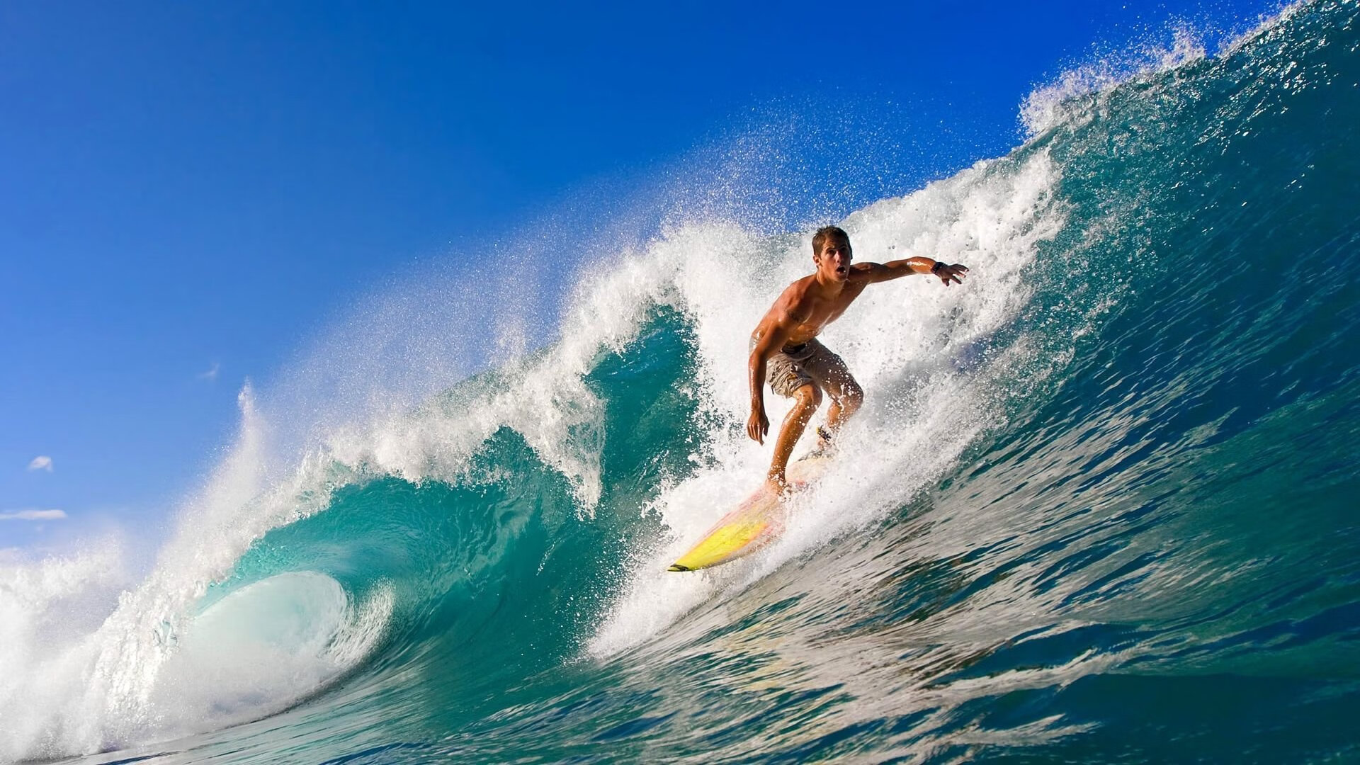 世界杯激发青少年立志踢职业 相关咨询量激增